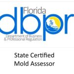 Mold